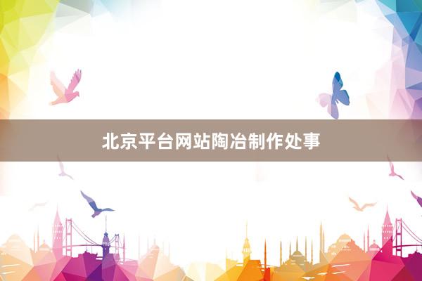 北京平台网站陶冶制作处事
